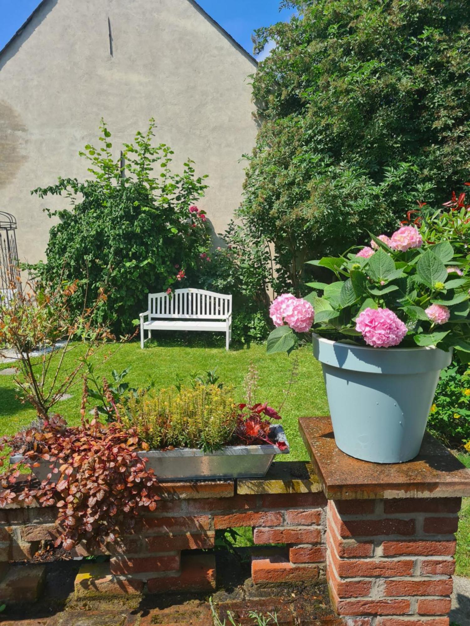 Das Moevennest Bad Camberg Buitenkant foto